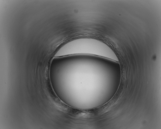 X0000091470364200708161133