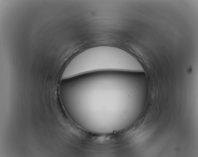 X0000091470366200708161133