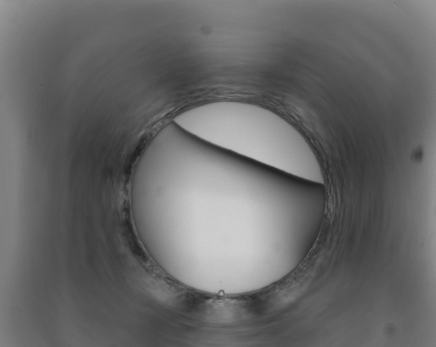 X0000091470367200708161133