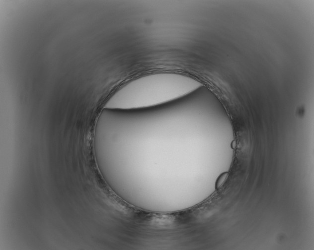 X0000091470369200708161133