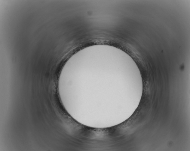 X0000091470370200708161133