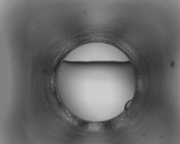 X0000091470373200708161133