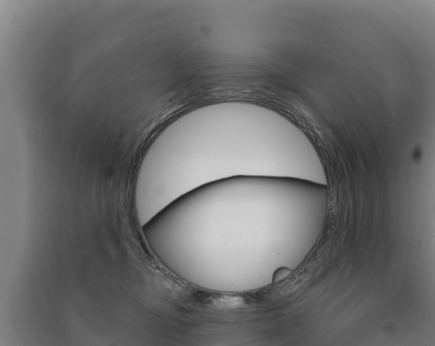 X0000091470374200708161133