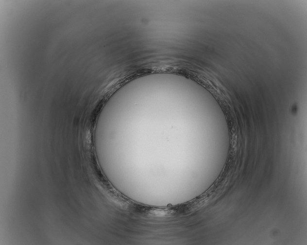 X0000091470375200708161133