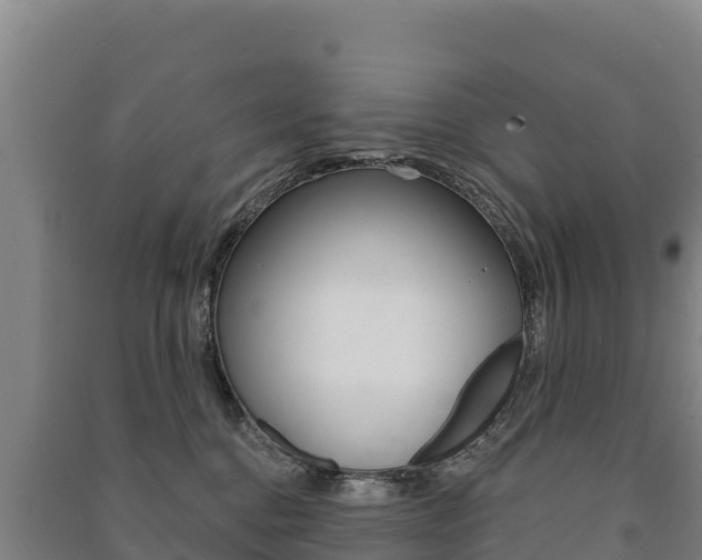 X0000091470376200708161133