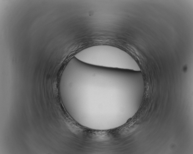 X0000091470377200708161133