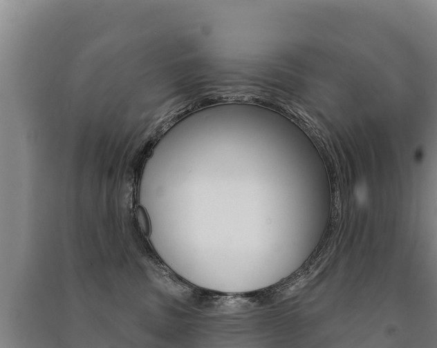 X0000091470379200708161133