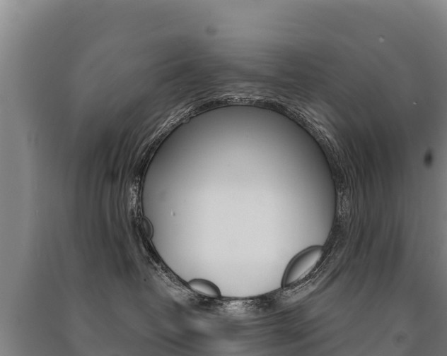 X0000091470382200708161133