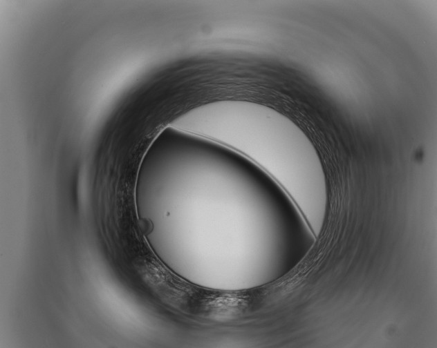 X0000091470383200708161133