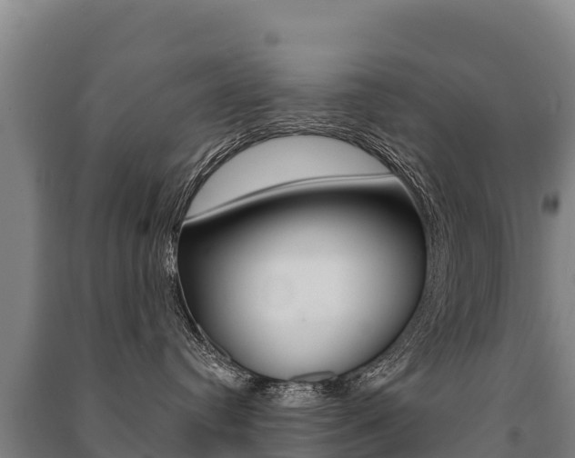 X0000091470384200708161133