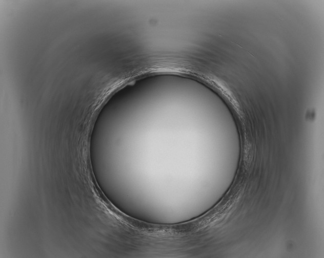 X0000091470385200708161132