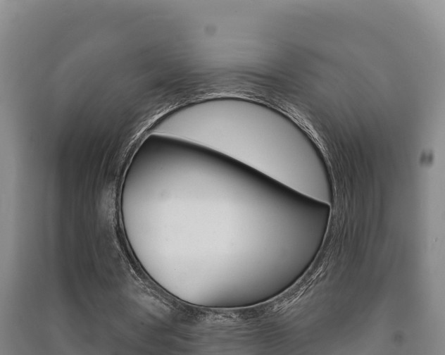 X0000091470386200708161132