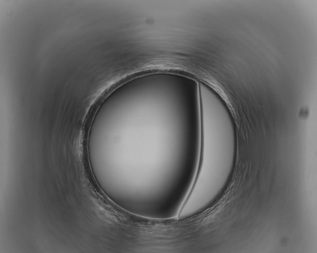 X0000091470387200708161132