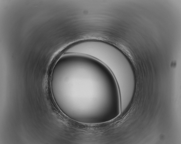 X0000091470388200708161132