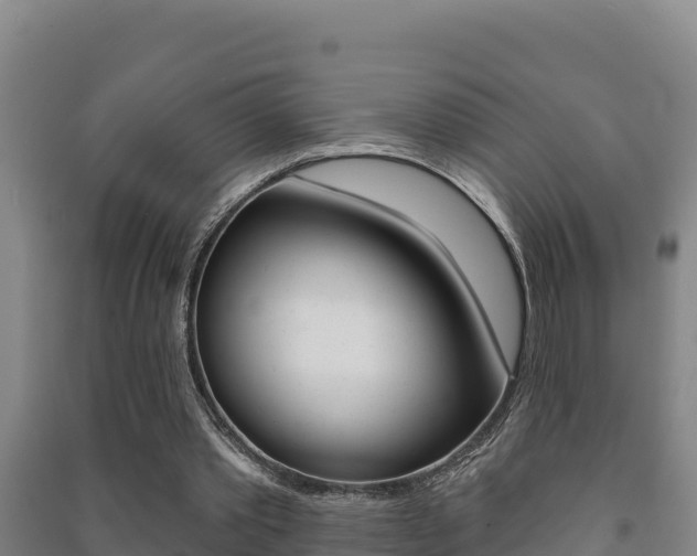 X0000091470389200708161132
