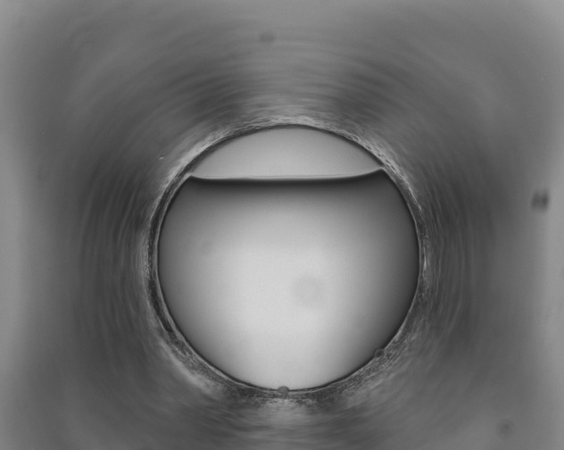 X0000091470390200708161132