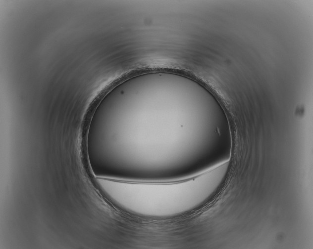 X0000091470391200708161132