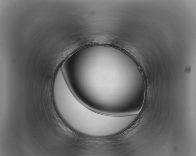 X0000091470393200708161132