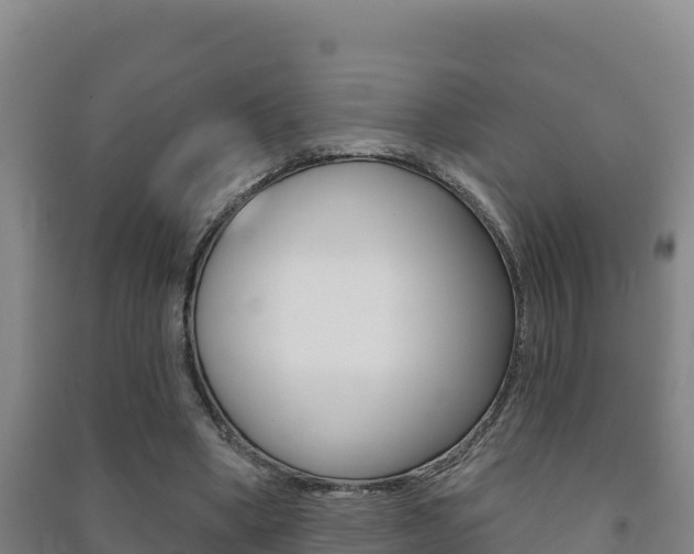 X0000091470394200708161132