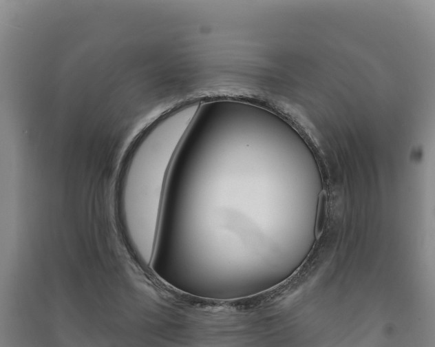 X0000091470395200708161132