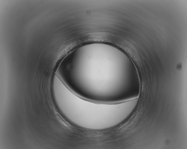 X0000091470397200708161132