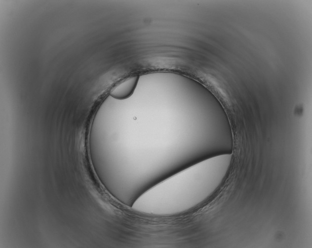 X0000091470398200708161132