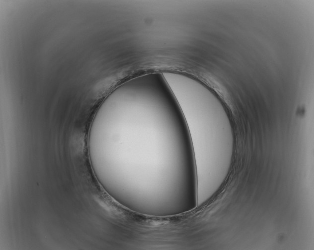 X0000091470401200708161132