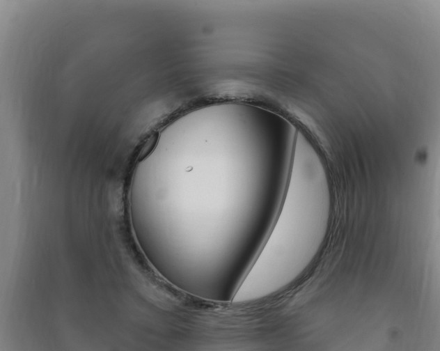 X0000091470403200708161132