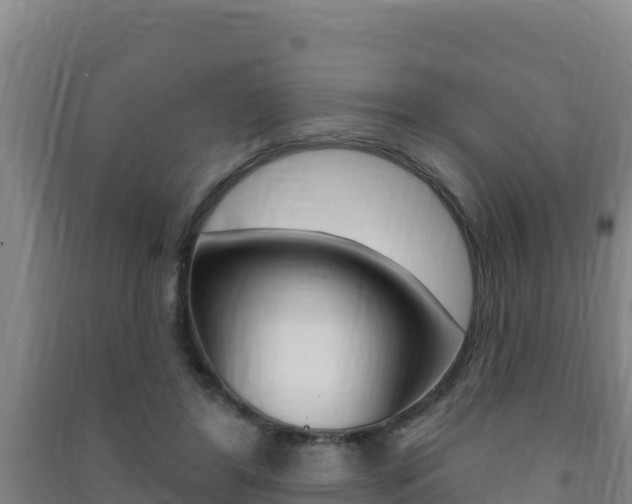 X0000091470404200708161132