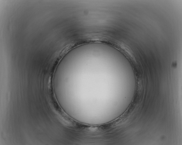 X0000091470406200708161132