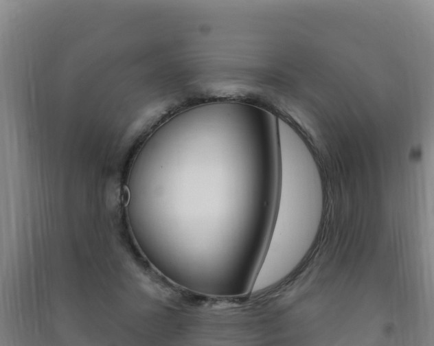 X0000091470407200708161132