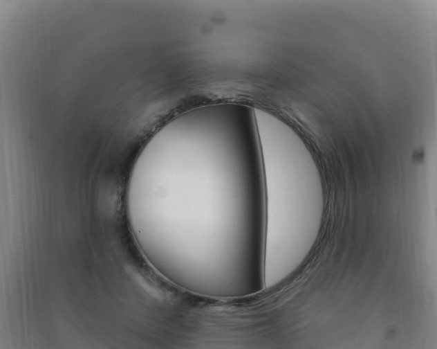 X0000091470408200708161132