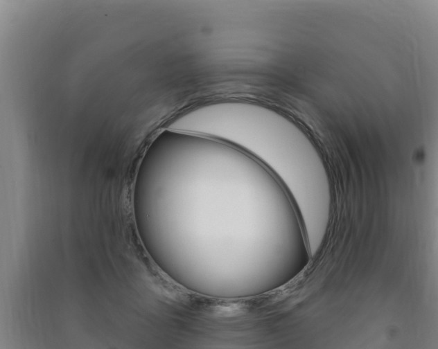 X0000091470411200708161132