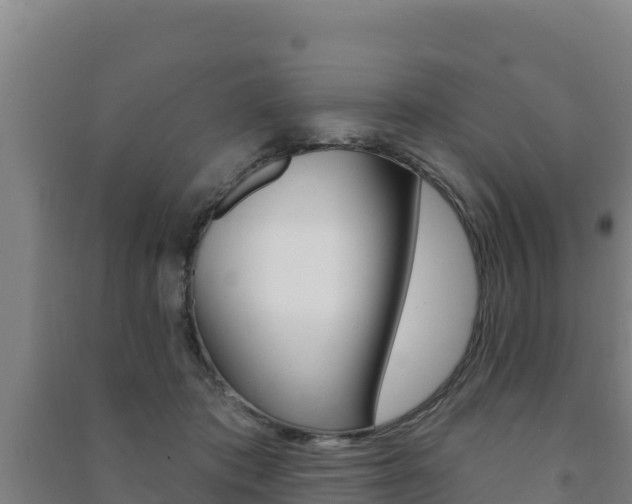 X0000091470413200708161132