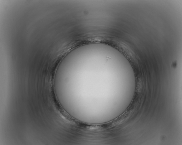 X0000091470414200708161132