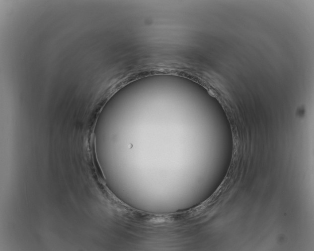 X0000091470415200708161132