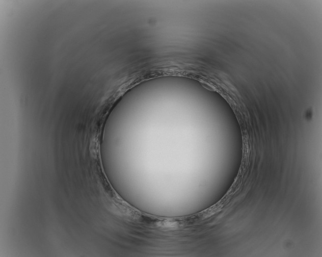 X0000091470419200708161132
