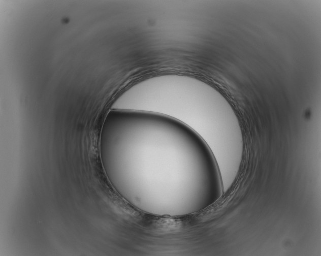 X0000091470421200708161132