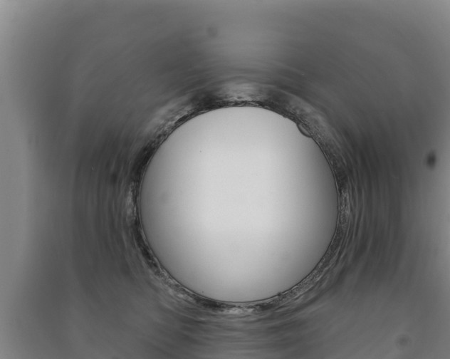 X0000091470422200708161132