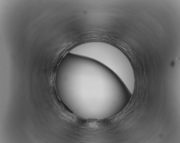 X0000091470423200708161132