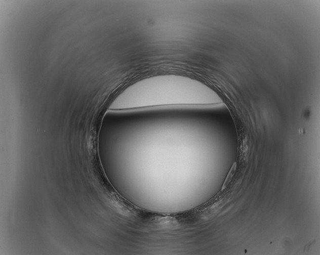 X0000091470424200708161132