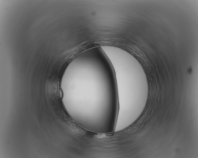 X0000091470425200708161132