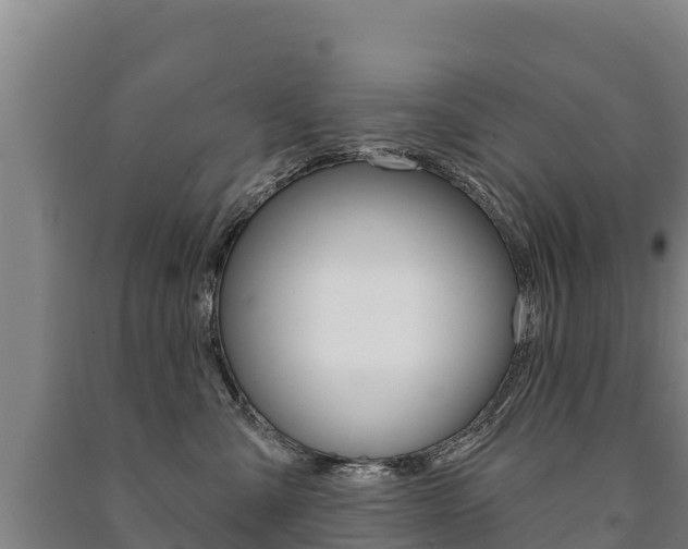 X0000091470427200708161132