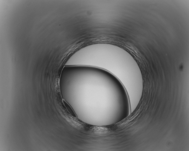X0000091470429200708161132