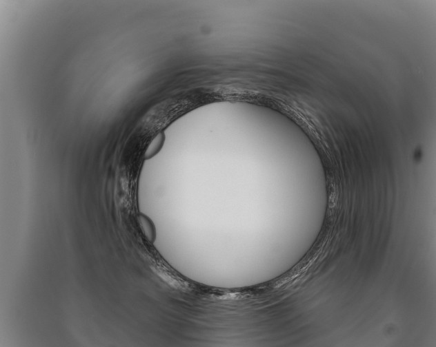 X0000091470430200708161132