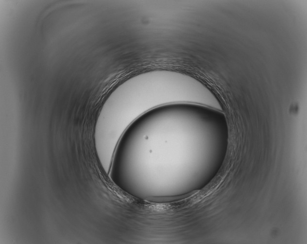 X0000091470432200708161132