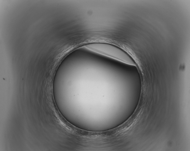 X0000091470433200708161131