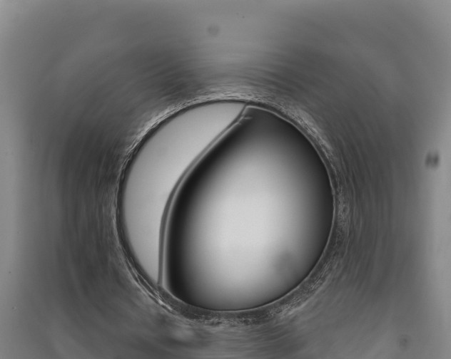 X0000091470434200708161131