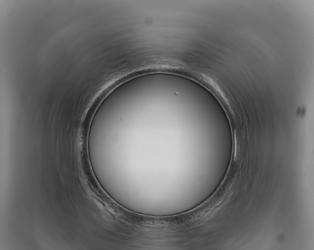 X0000091470435200708161131