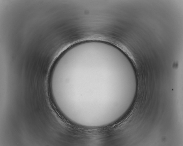 X0000091470436200708161131